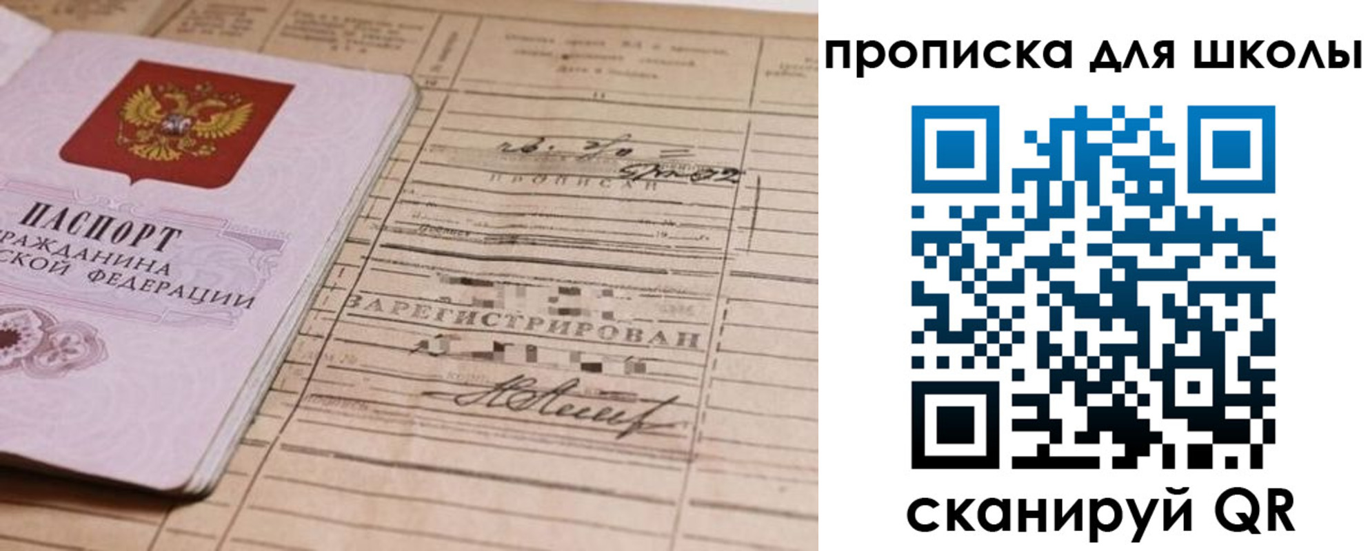 прописка поиск в Сельцо
